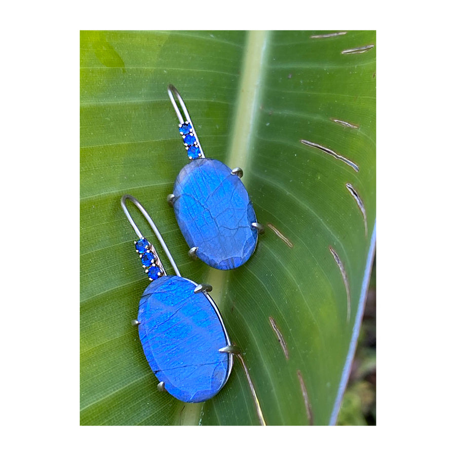 Labradorite & Blue Sapphire Earrings - Susanne Siegel